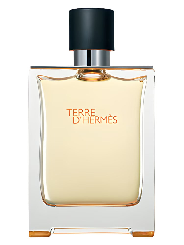 Hermes Terre D'Hermes edt