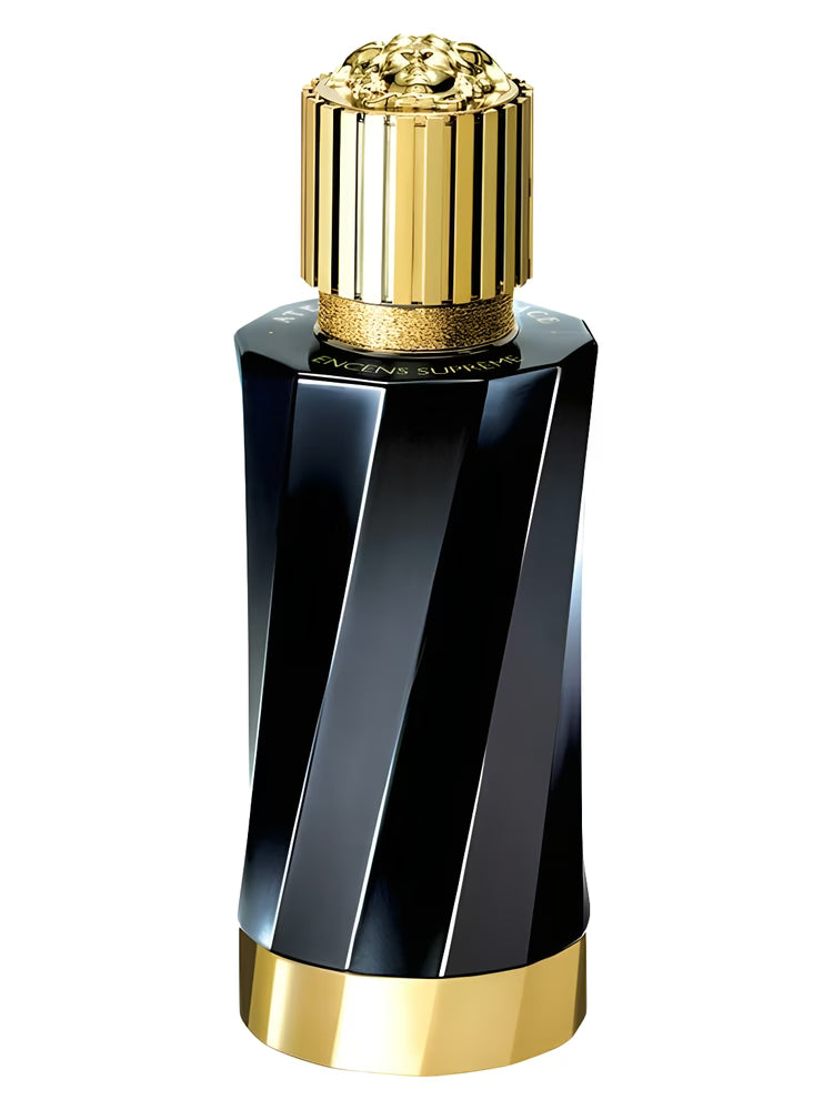 Versace Atelier Gingembre Pétillant
